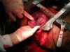 DSCN0430.jpg