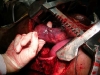 DSCN0431.jpg