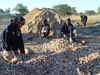 zambia10.jpg